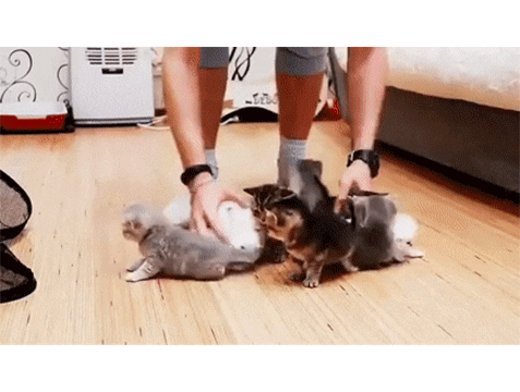 Last week's quiz & hint 4/11