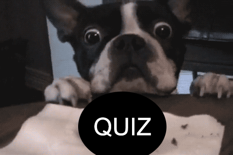 Last week's quiz & hint 1/11