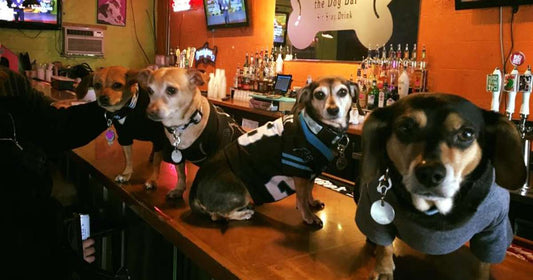 Last week's quiz & hint 3/30