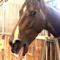 Last week's quiz & hint 4/25