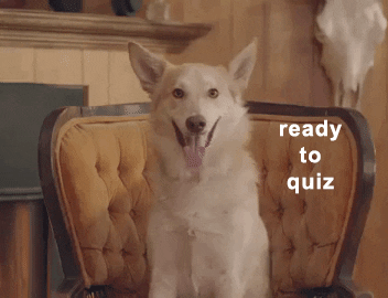 Quiz is back 🧠 (hint & info)